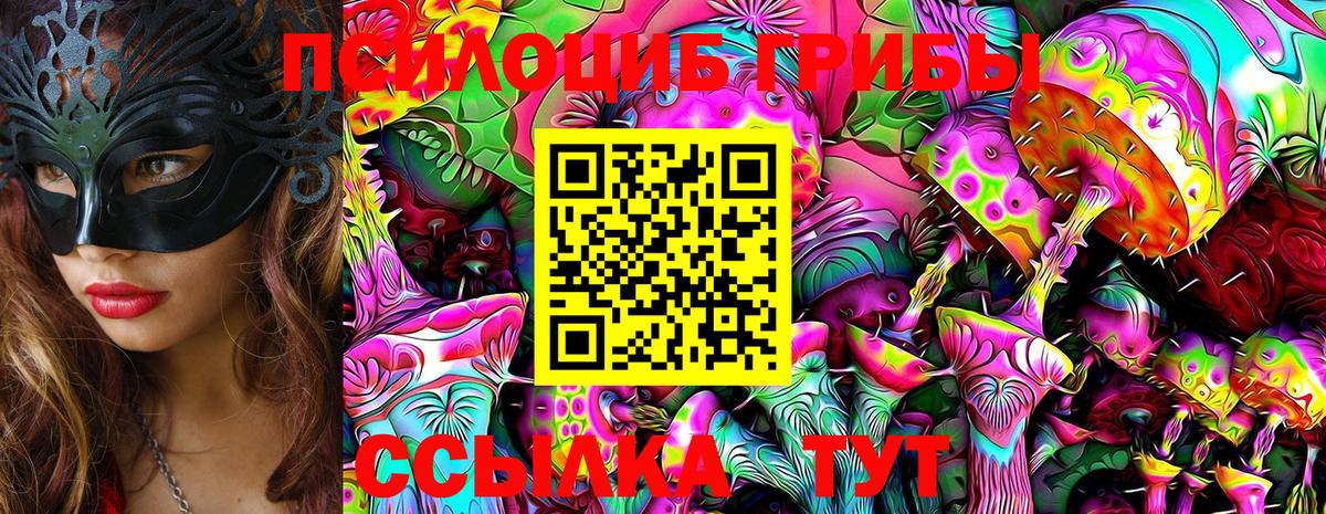 Псилоцибиновые грибы прущие грибы  Вход с VPN  Псилоцибиновые грибы Psilocybine cubensis  Кинель 
